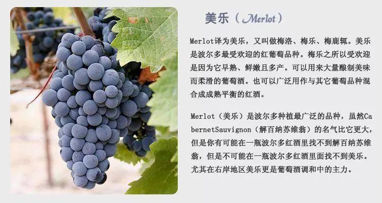 6元抢购法国进口红酒！数量不多！拼的就是手速！"