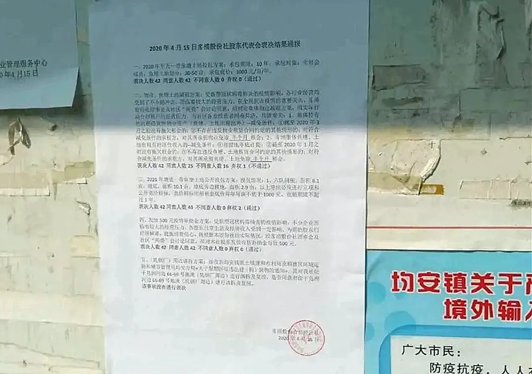 每人3000元! 这条村发放疫情补助金! 网友: 什么时候到我?