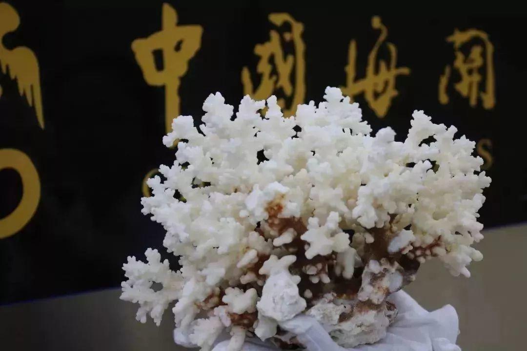 东莞人以后去香港，千万别带这些！最高罚5万甚至坐牢！