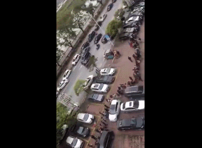 通知！东莞民办中小学招生不得组织面试...