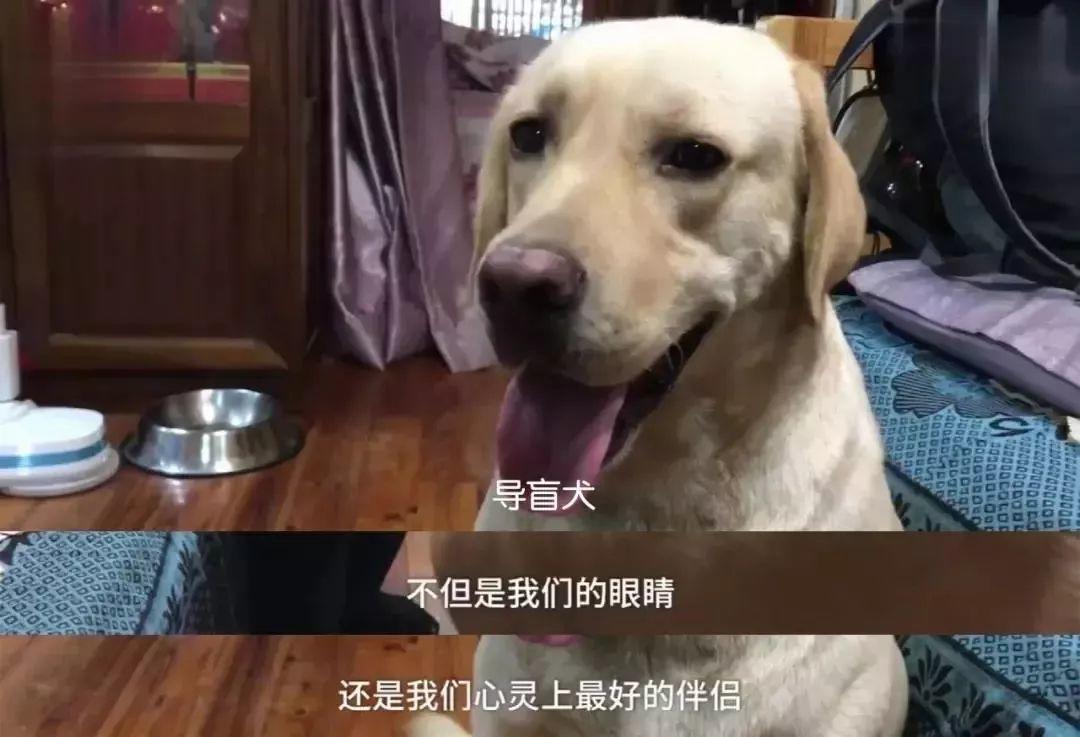 东莞人怒了！海底捞上热搜，网友吵翻！这次是因为......