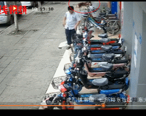 揪心！东莞一3岁男童被疯狗撕咬15秒！监控视频记录了下来！