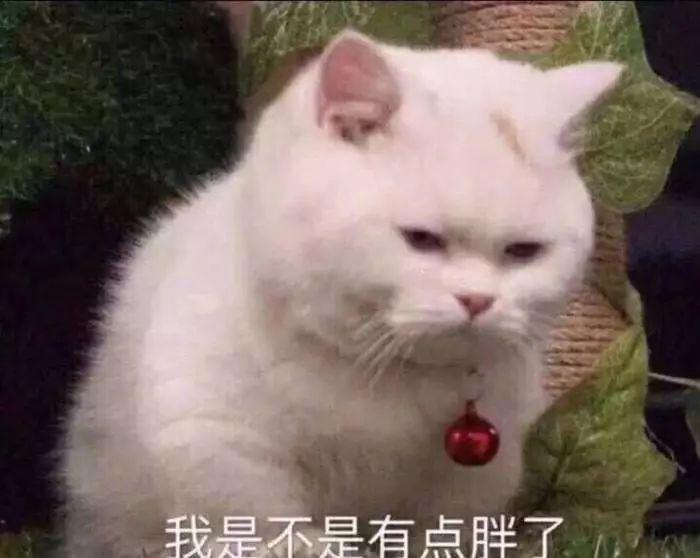 东莞司机注意！5月1日起，去深圳这些地方必须预约！