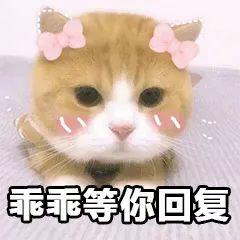 注意！你住的小区或将改名！东莞这些奇葩地名，99%的东莞人都不知道！