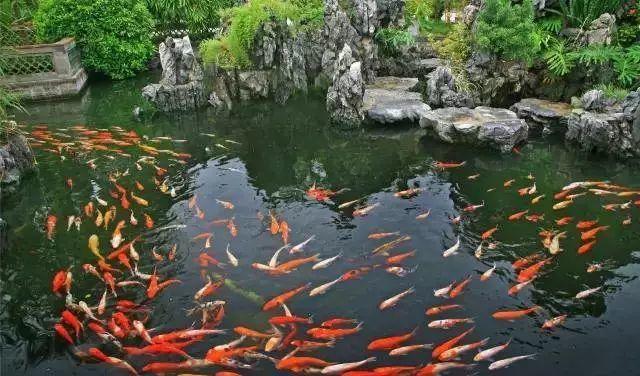 东莞必去景点~4A景区粤晖园~福利送送送！只要：14元，探寻东莞绝美‘紫禁城’探访明清古风岭南园林!