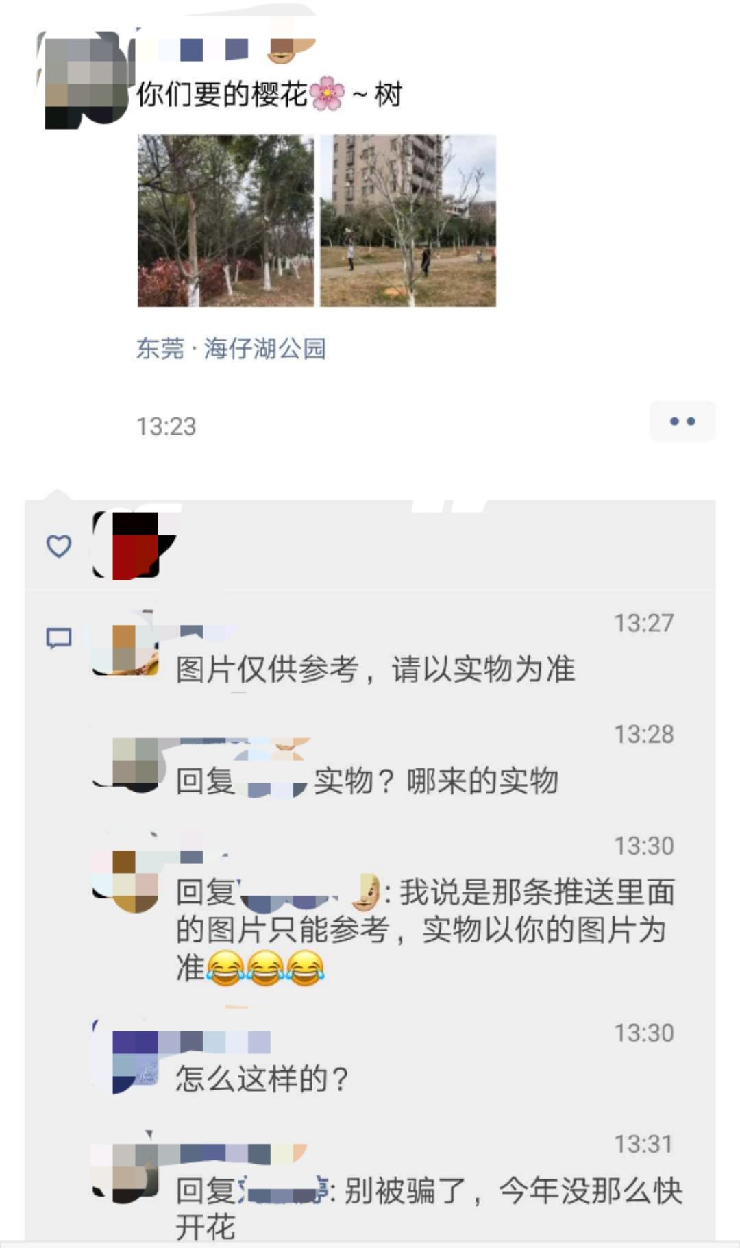 刷爆朋友圈的石排樱花美食节，你去了吗？网友到现场发现…