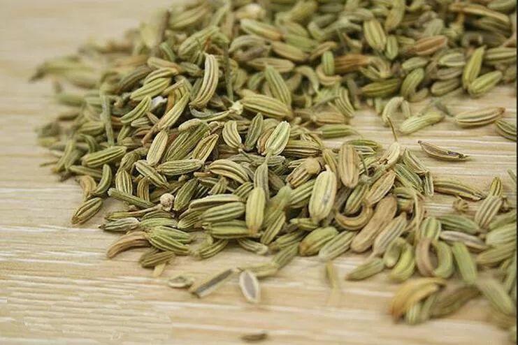 专家告诫：被蚊子咬了，这5点千万不要做！涂点这个马上止痒，不花一分钱！