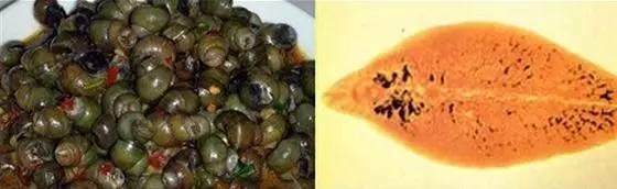 不要再吃这样的了，全是虫！快告诉家人！