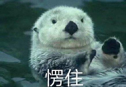 儿子收到妈妈被绑架视频, 只穿内衣, 嘴贴黑胶, 五花大绑! 真相惊掉下巴！
