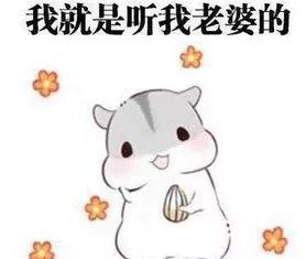 重磅！全国怕老婆排名新鲜出炉！东莞男人竟排在…