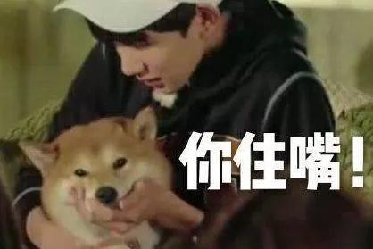 一颗车厘子多少钱？扎心了……网友哭求“车厘子自由”