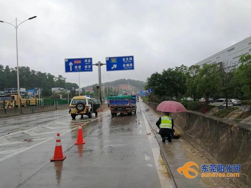 东莞一醉酒女子欲轻生，接下来这一幕....