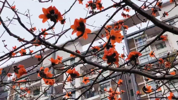 冷空气今晚到货！东莞降温+雨雨雨！至于回南天…