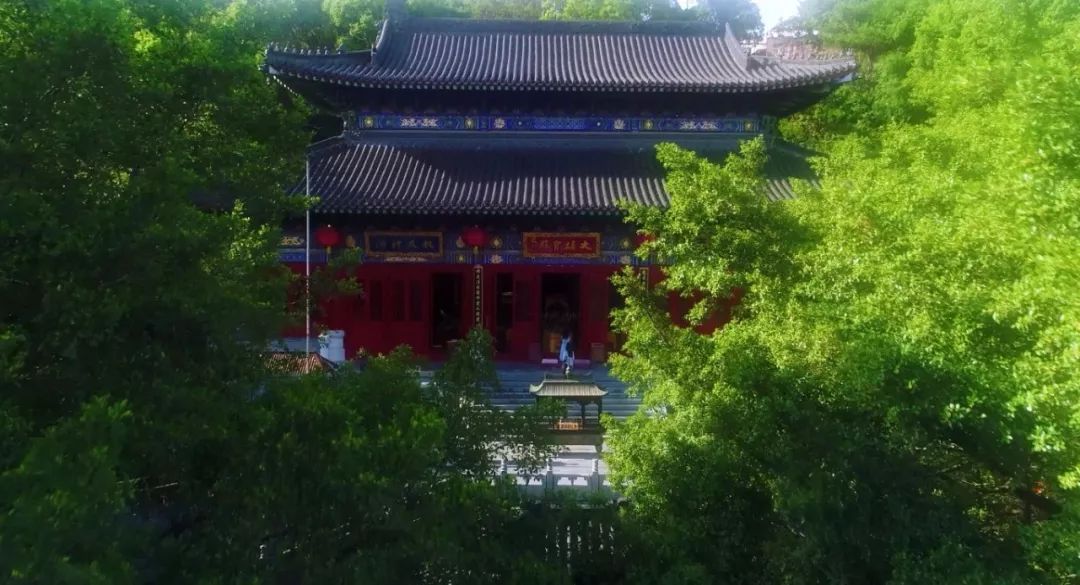 疫情结束后，想和你一起去看隐贤山庄的春天....