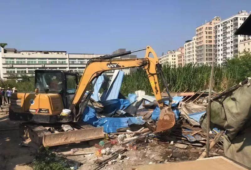 拆拆拆！东莞多镇街果断出手，私搭乱建、田间窝棚…全拆！