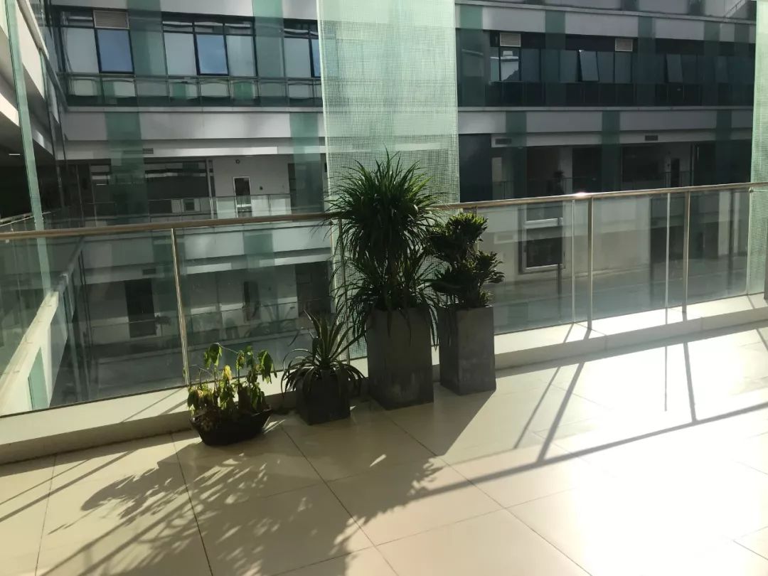 东莞又双叒叕要一秒入夏？！接下来气温直奔30℃！