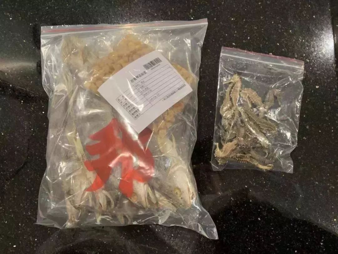东莞人以后去香港，千万别带这些！最高罚5万甚至坐牢！