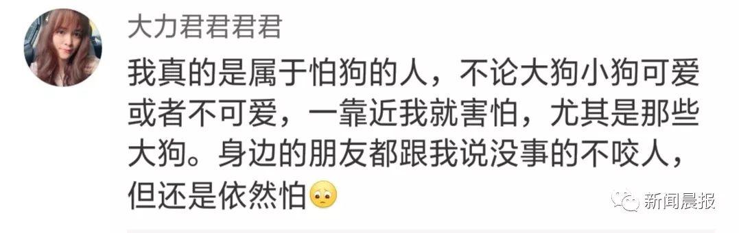 泰迪没吼也没咬，这位狗主人却赔了20万！只因这件事情没做好…