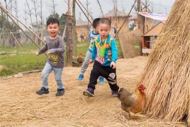 东莞最新网红休闲胜地~12.8元抢东江印象生态园观光票，海上丝路长廊、印象风车、孔雀观赏····休闲假日！秋游拍摄~共度欢乐时光