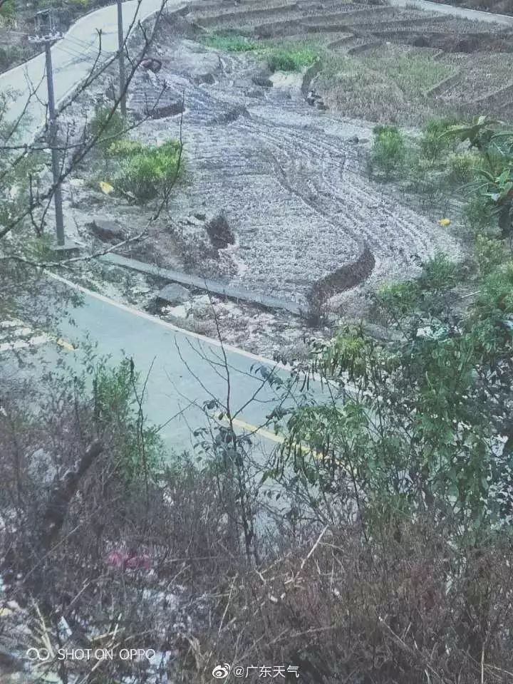 下雪了！2020年广东第一场寒流杀到！未来几天，东莞将会…
