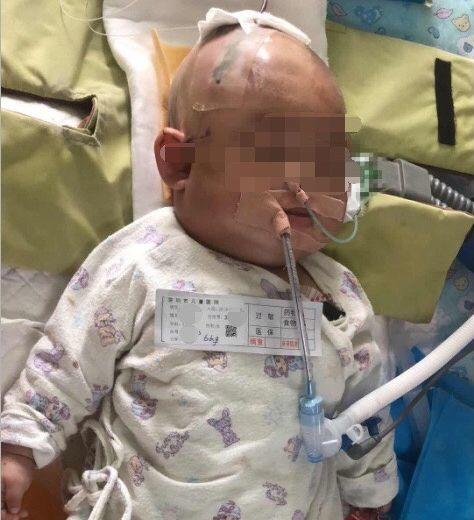 哭惨了！一个苹果544万元！