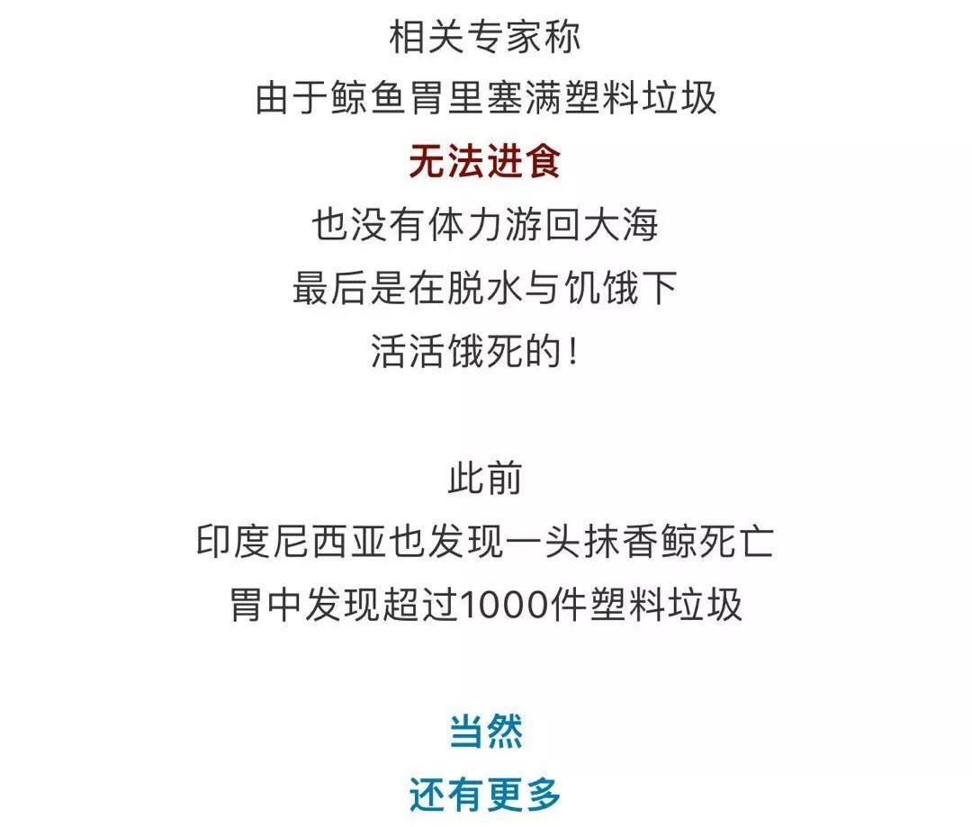 对不起，吓到大家了！