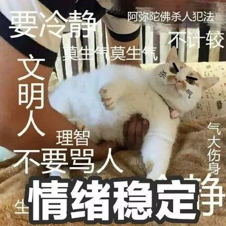 东莞这位司机, 你要出名! 疯狂别车, 强行加塞, 开车打电话, 还骂人......