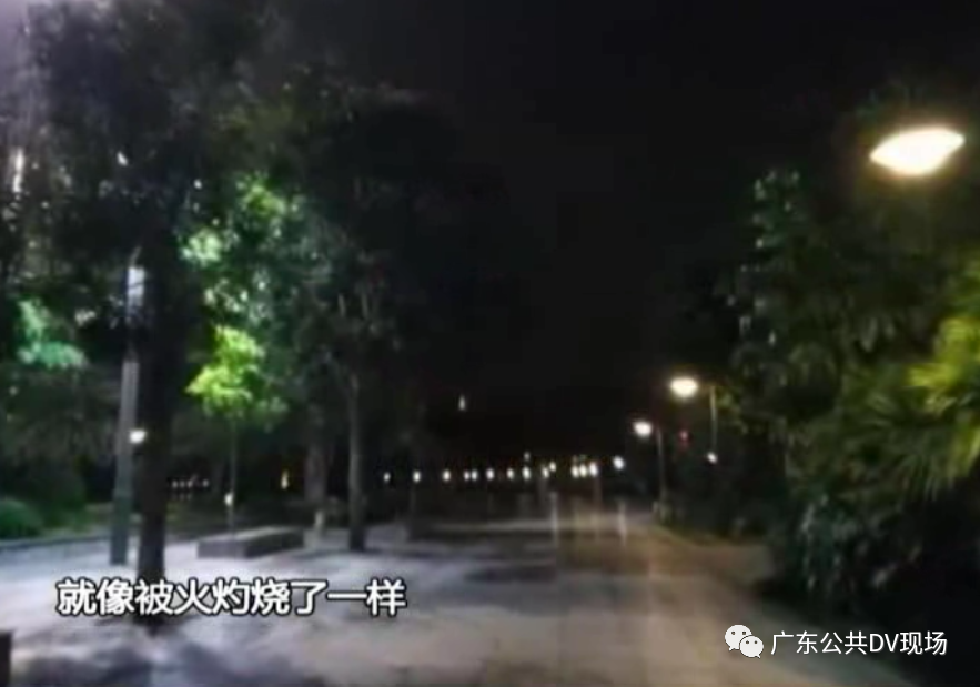 东莞夏天常见的这种小动物，多人被咬伤送院！这个情况一定要谨慎！