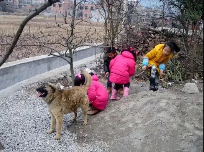 0年前，过年走亲戚老照片！满满回忆，你还记得多少？"