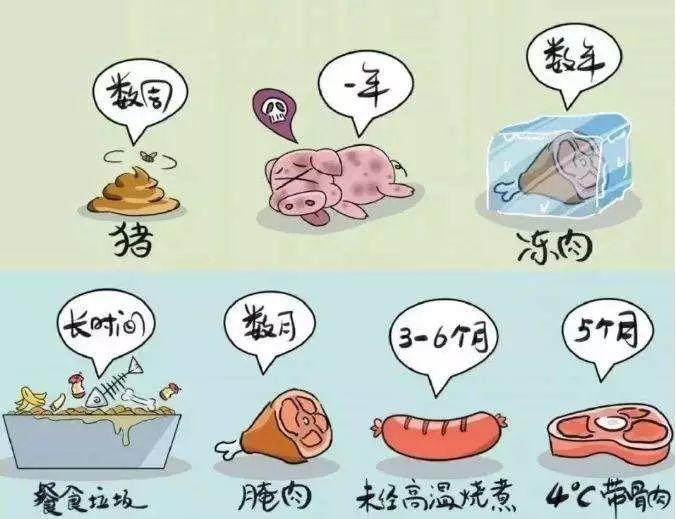 天呐！东莞人经常吃的三全灌汤水饺被曝检出非洲猪瘟病毒？