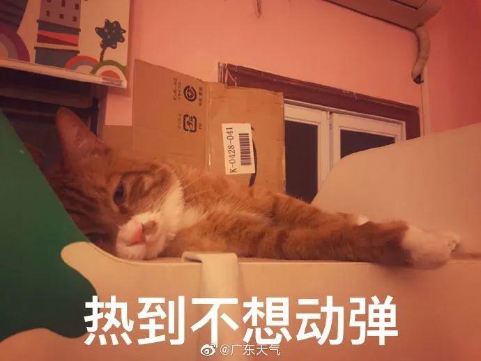 ҈热҈热҈热҈，东莞天气实在是太虐了！感觉喘不过气.....