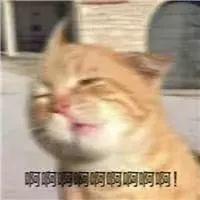 要收费了！东莞人以后去澳门记得带这个！不然麻烦大了......