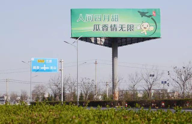 今年第一波新鲜陕西阎良蜜瓜，甜爆了！18度浓甜多汁，每吃一口都是享受！