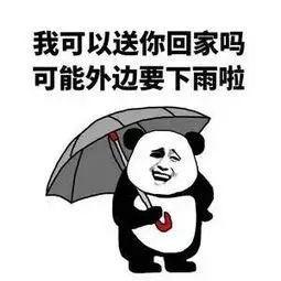 暴雨携冷空气又来“搞搞震”，东莞这日子没法过了！
