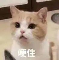 新一轮暴雨又杀到？东莞人的端午假期要泡汤了？接来下的天气将...
