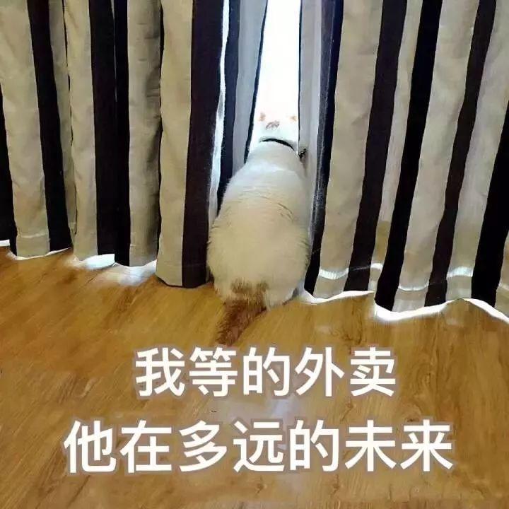 再见了，外卖小哥？