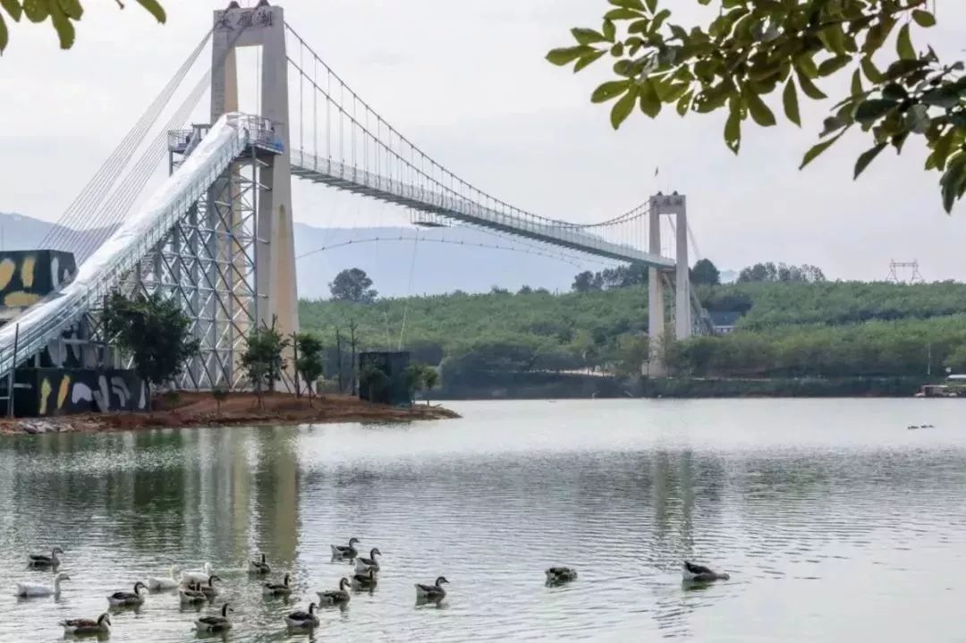 步步惊心！广东玻璃桥都在这里，你敢试吗？
