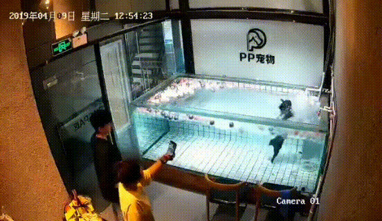 心痛！东莞人朋友圈都在传这个视频，实在是太惨了……