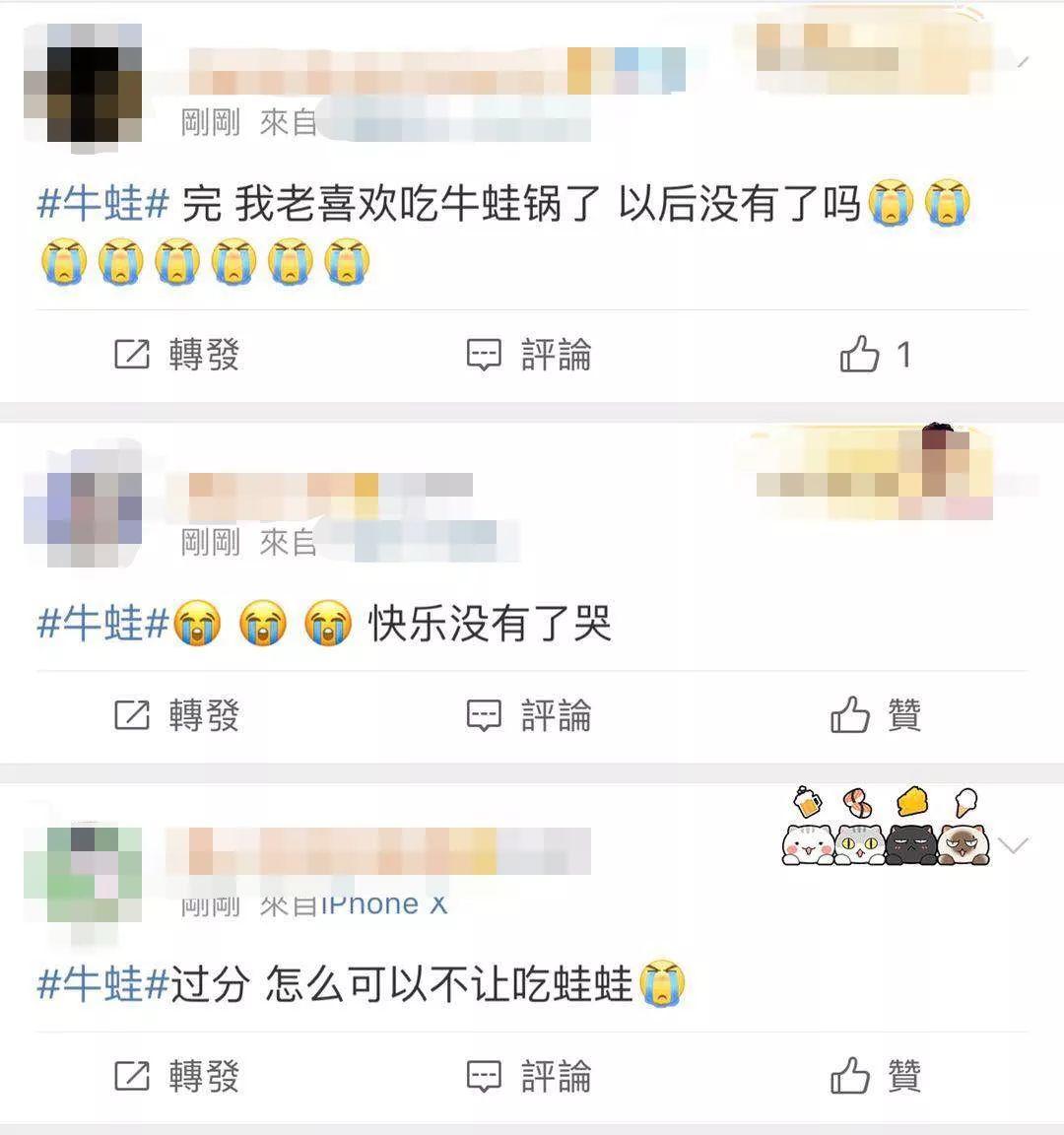 再见了，牛蛙？？？