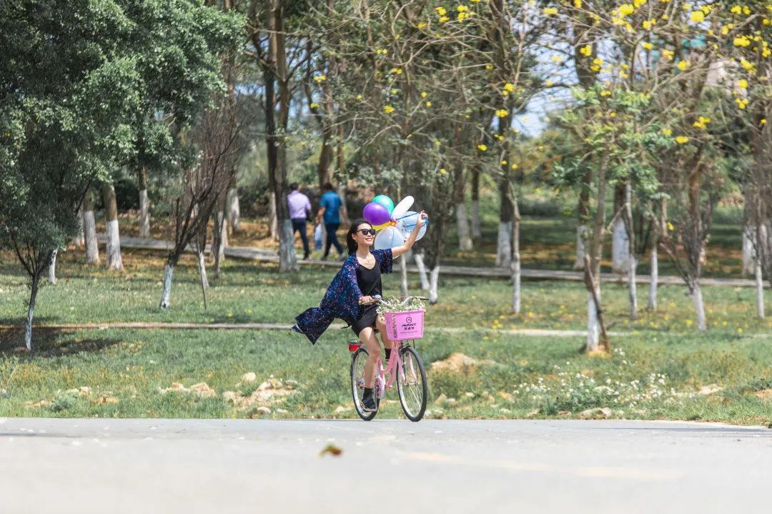 为什么深圳人都偏爱松山湖