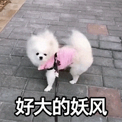 冷҈冷҈冷！跌至9℃！新一波冷空气明天就到！东莞要入冬了？
