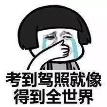 疫情以来，东莞人期待已久的这件事终于恢复了！