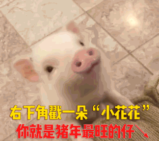 太吓人！一4岁女童被割颈！出门一定要当心！