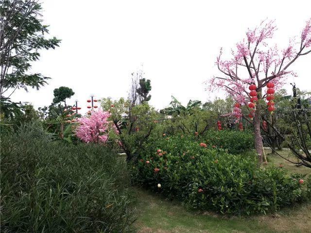 东莞最新网红休闲胜地~12.8元抢东江印象生态园观光票，海上丝路长廊、印象风车、孔雀观赏····休闲假日！秋游拍摄~共度欢乐时光