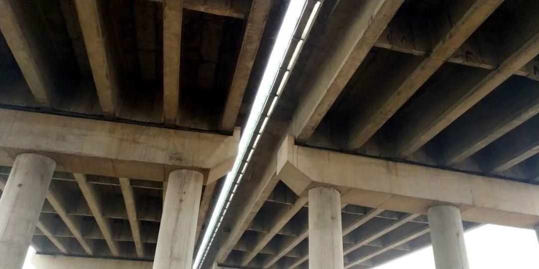 东莞一司机返乡途中离奇消失后死亡！真相太可怕…