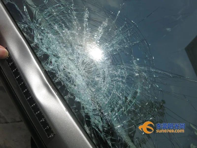 东莞一男子醉驾，撞人致死后逃逸！