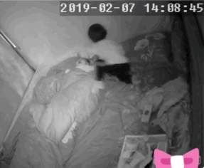 一男婴过年期间遭4岁女童暴打！男婴妈妈却只能忍气吞声？
