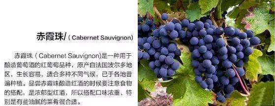 6元抢购法国进口红酒！数量不多！拼的就是手速！"