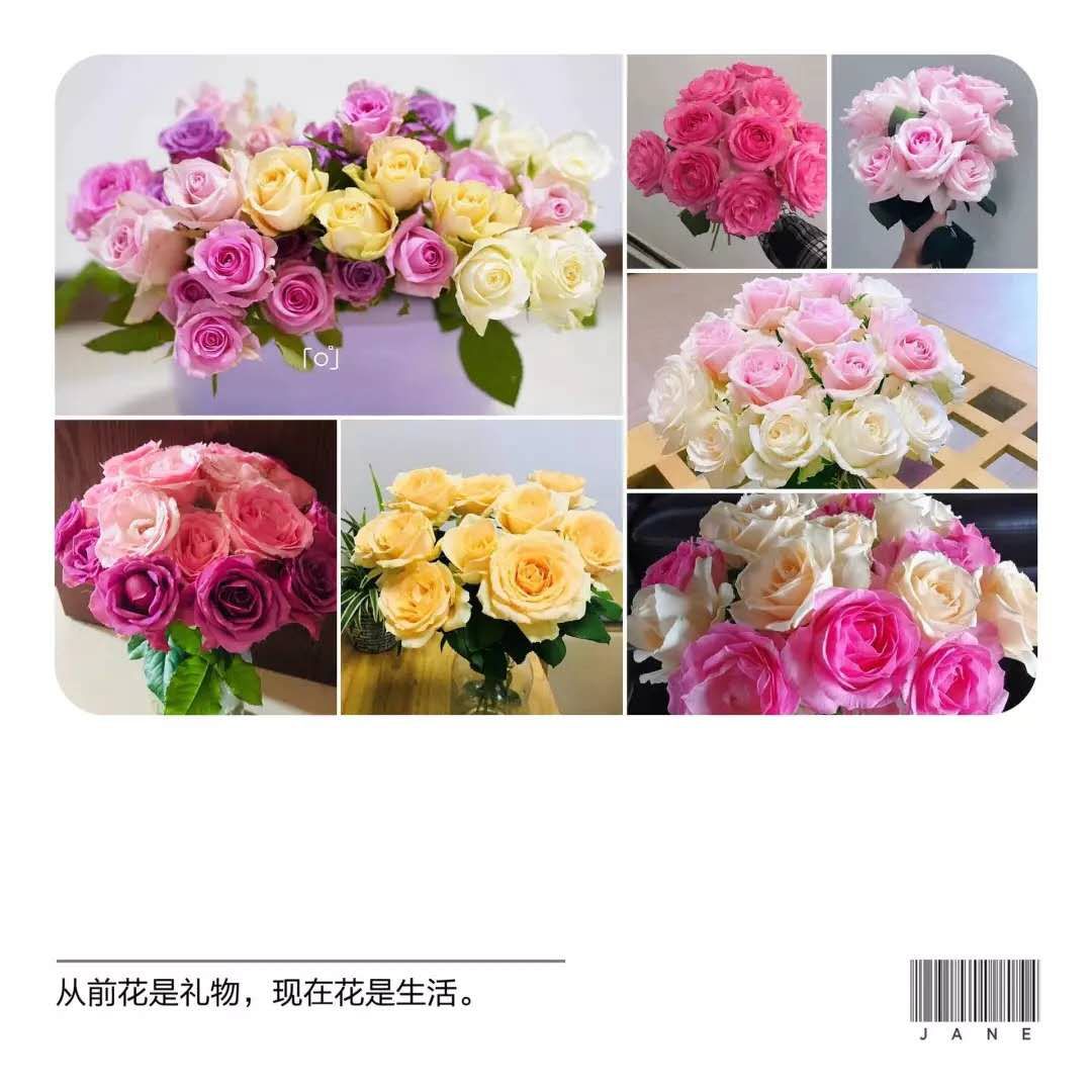 抢疯了！9.9元秒杀10只玫瑰花！限时抢！手慢无！
