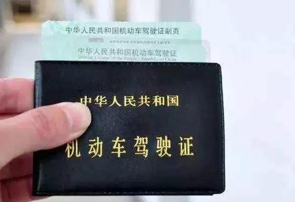 东莞查后排不系安全带罚200元？真相是...